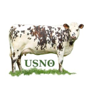 USNO US Normande Organization